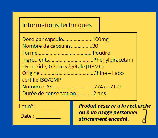 Phenylpiracetam Hydrazide – 30 gélules 100 mg
